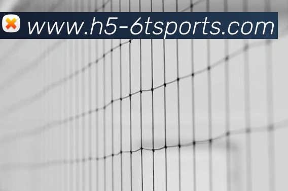 体育下注服务体系