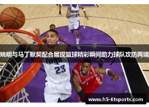 姚明与马丁默契配合展现篮球精彩瞬间助力球队攻防两端