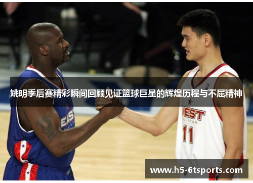 姚明季后赛精彩瞬间回顾见证篮球巨星的辉煌历程与不屈精神