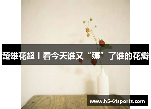 楚雄花超丨看今天谁又“薅”了谁的花瓣